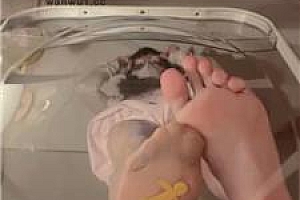 【砂糖】女巨人视角踩死你 bf43960
