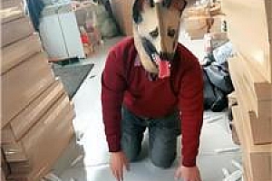 【小原妈妈】彻底训化人形犬 JS241209-27