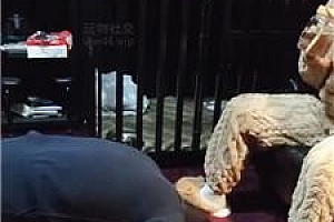 【尊主】毛拖鞋捂白袜强迫舔 JS250108-8