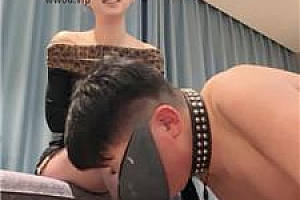 【uus】长腿车模黑丝诱惑虐杀 bf50206