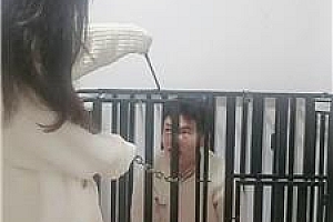 【薇薇】口球塞嘴鞭打/骑马/囚禁狗笼 JS250217-35