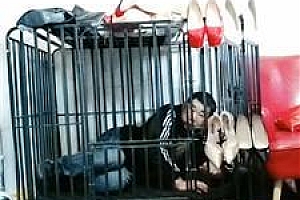 【冰炫】囚禁狗笼犬化【双视角版】 JS250315-36