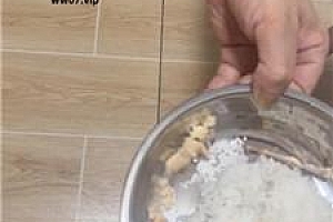 【琼爷】狗盆喂食剩饭剩菜 JS250505-4