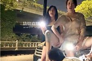 【琴月】双S-深夜雨天遛狗场 bf55949