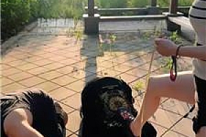【伊晨】双S双M-户外遛狗-清理脏鞋白棉袜 bf55560