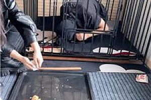 【77夫妻】圈养狗笼-踩踏喂食[下] JS251007-2