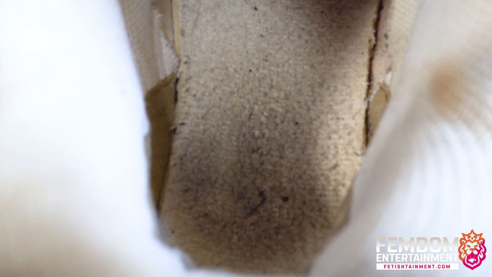FEMDOMSQUAD - 现在你得对着我那双脏兮兮的水牛皮运动鞋自慰 与玛丽·M·勒尔女王的鞋癖 + preview 4