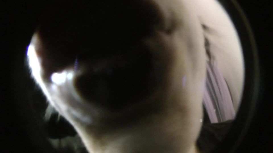 肯德尔女神 – 第一人称视角周末之吻