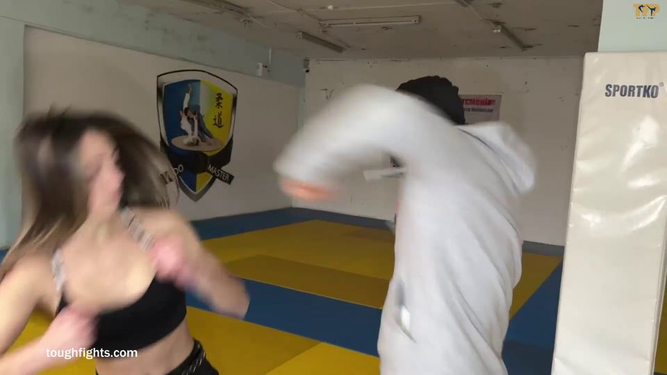 Tough Fights：入侵者爱丽丝